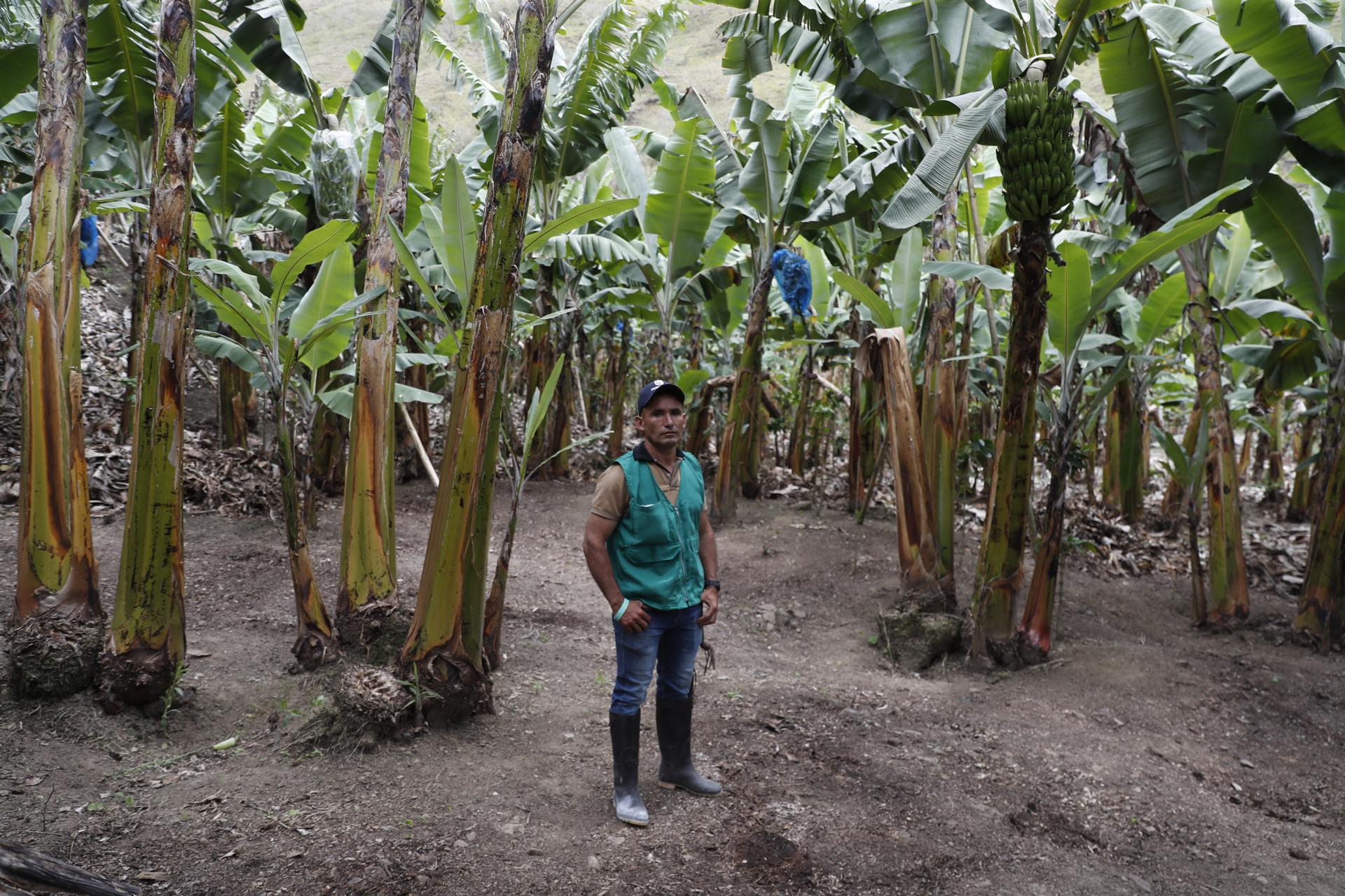 Agro y manufacturas sostuvieron las exportaciones colombianas en 2025
