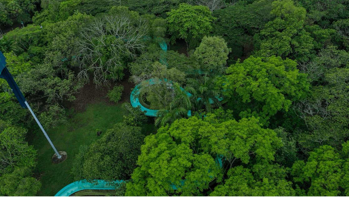 Bosque seco tropical.