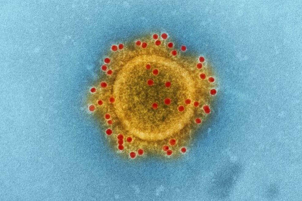 La ciencia abierta contra un nuevo virus