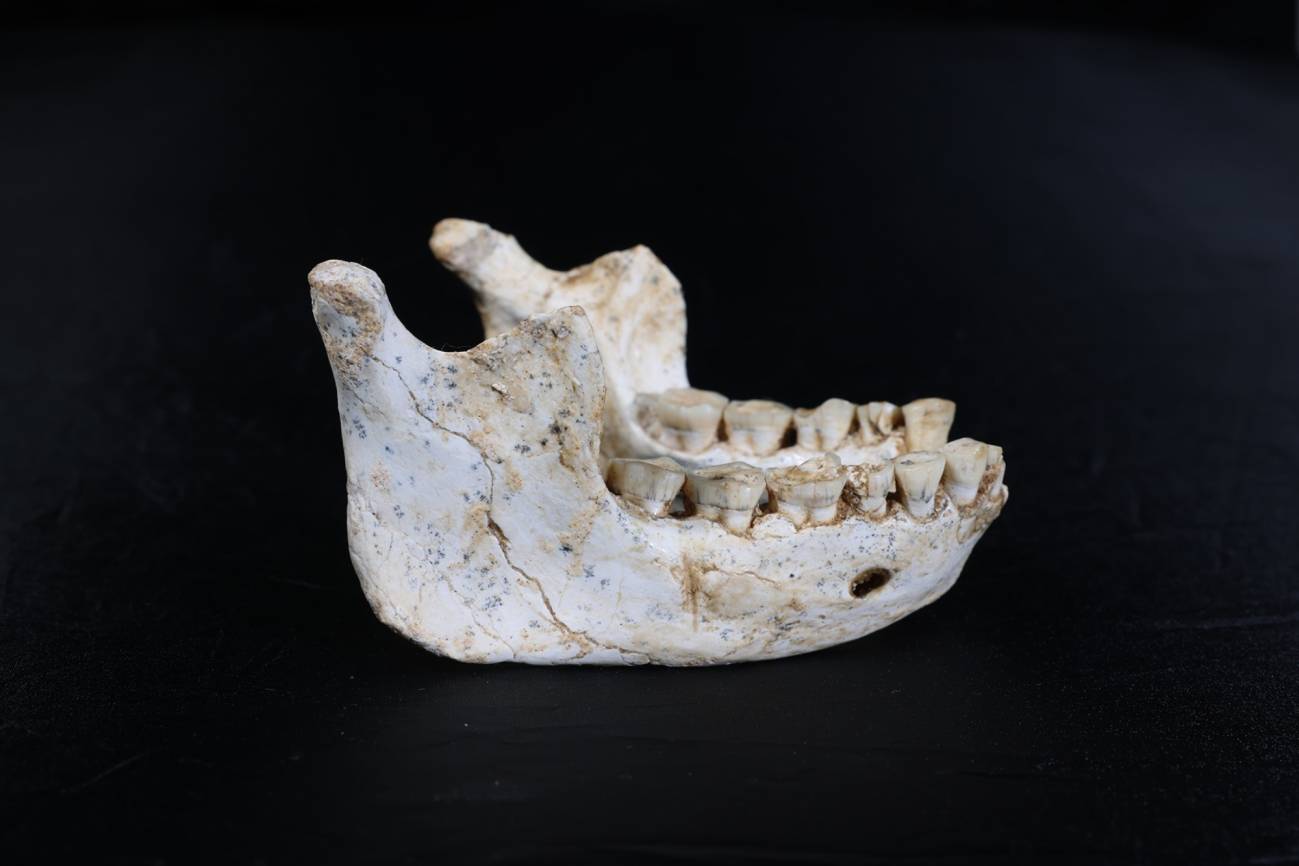 El revelador hallazgo que hicieron científicos en África del antepasado del “Homo Sapiens”
