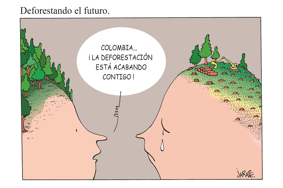 Deforestando el futuro