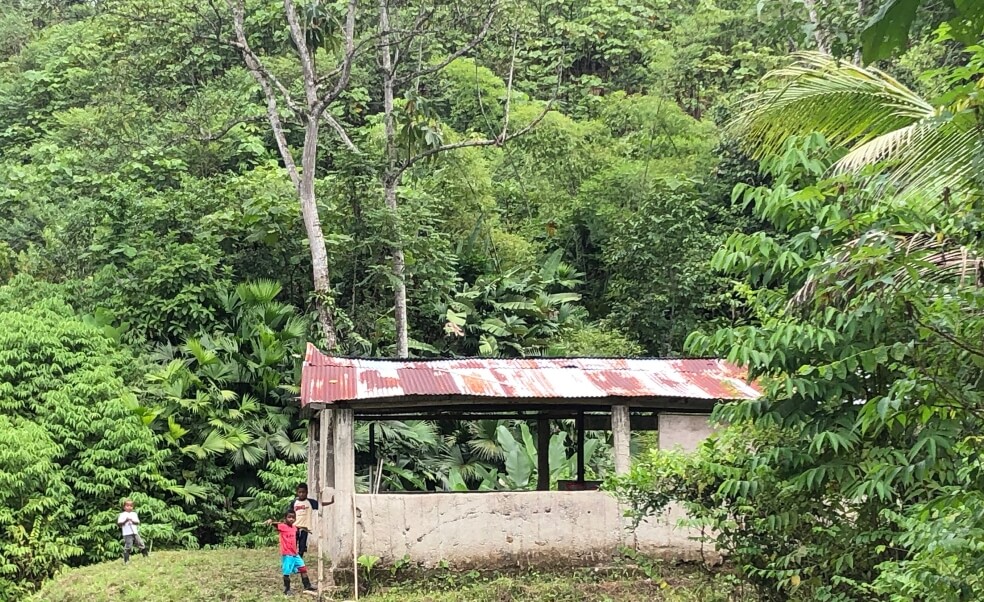 Escuelas en ruinas y rodeadas de coca, así estudian en la cordillera de Nariño
