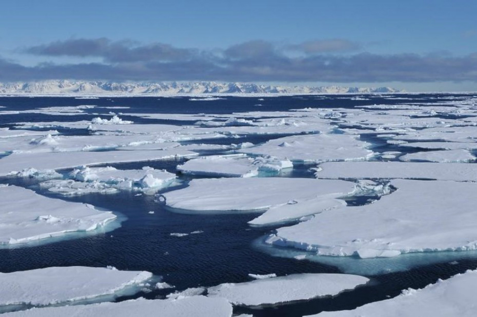 Un oasis de agua líquida preservó la vida marina durante la última Edad del Hielo