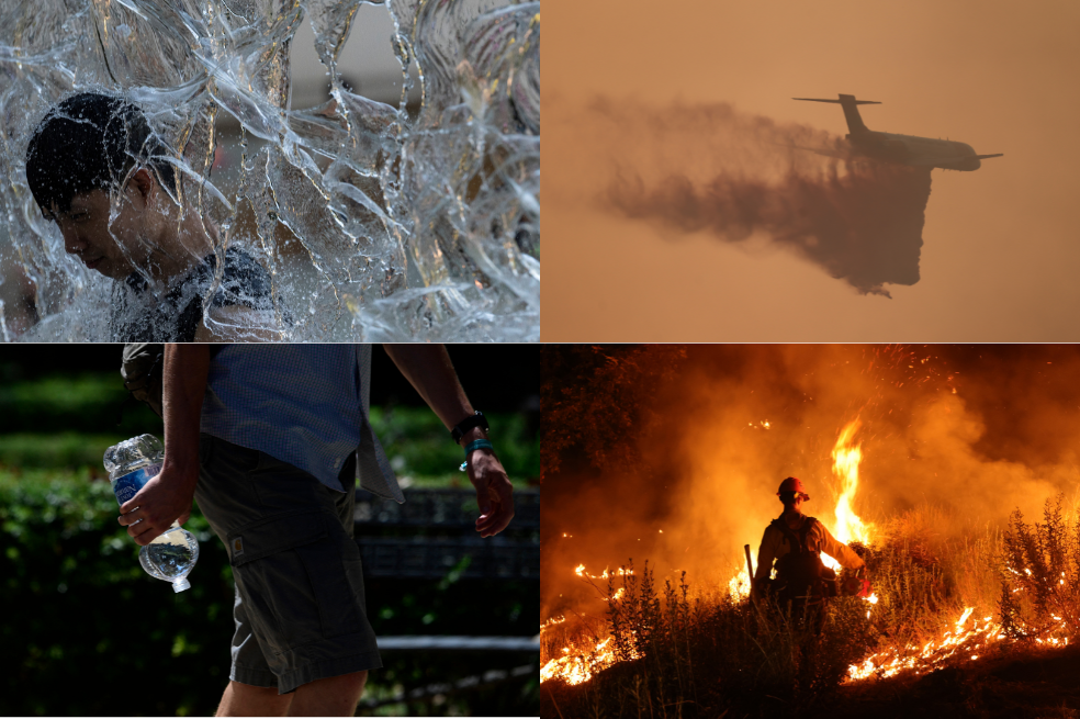 En imágenes: así se ven las olas de calor en Europa, Asia y Estados Unidos