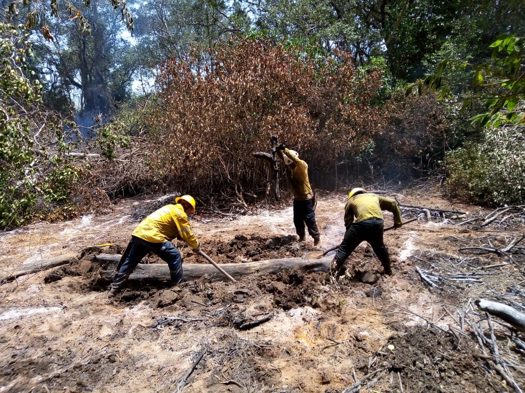 Liquidado el incendio forestal presentado en el Parque Isla de Salamanca