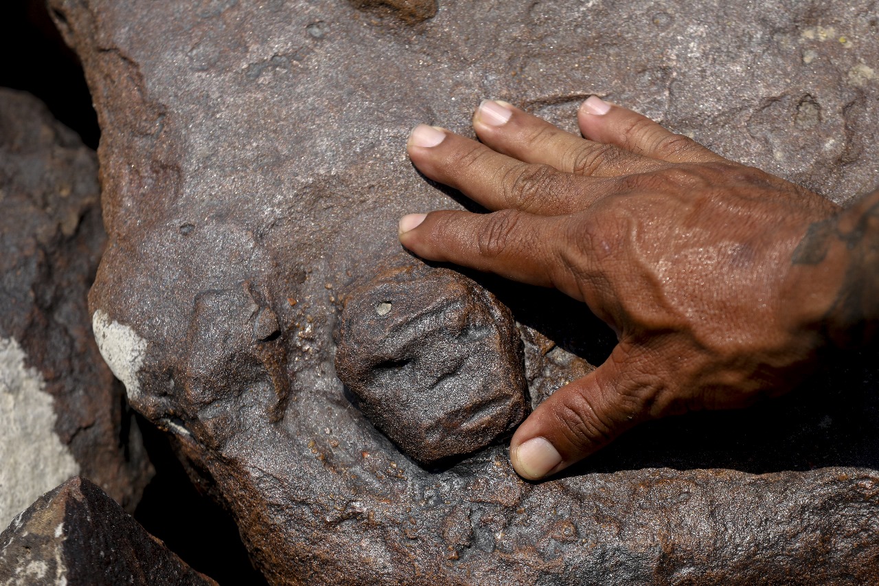 Tras sequía en ríos de la Amazonia, hallan rostros de aborígenes tallados en piedras