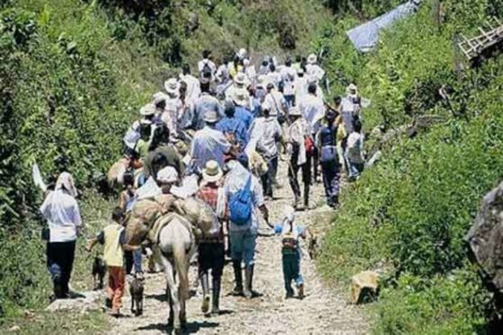Condenada a siete años de prisión por desviar proceso de restitución de tierras en Villavicencio