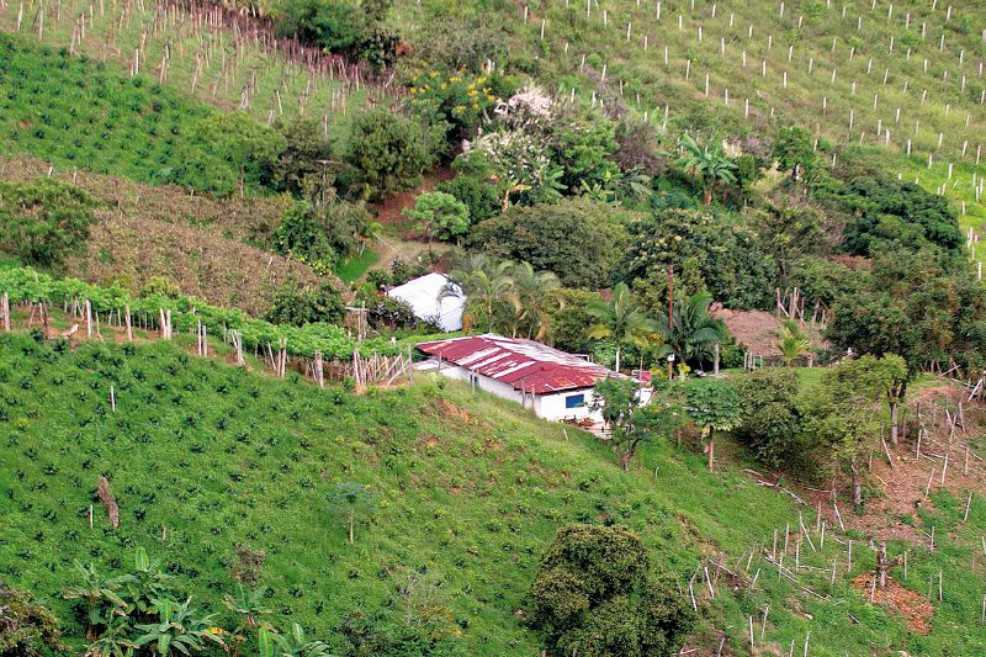 Le piden a la Corte Constitucional mantener en los jueces la titulación de tierras en el país