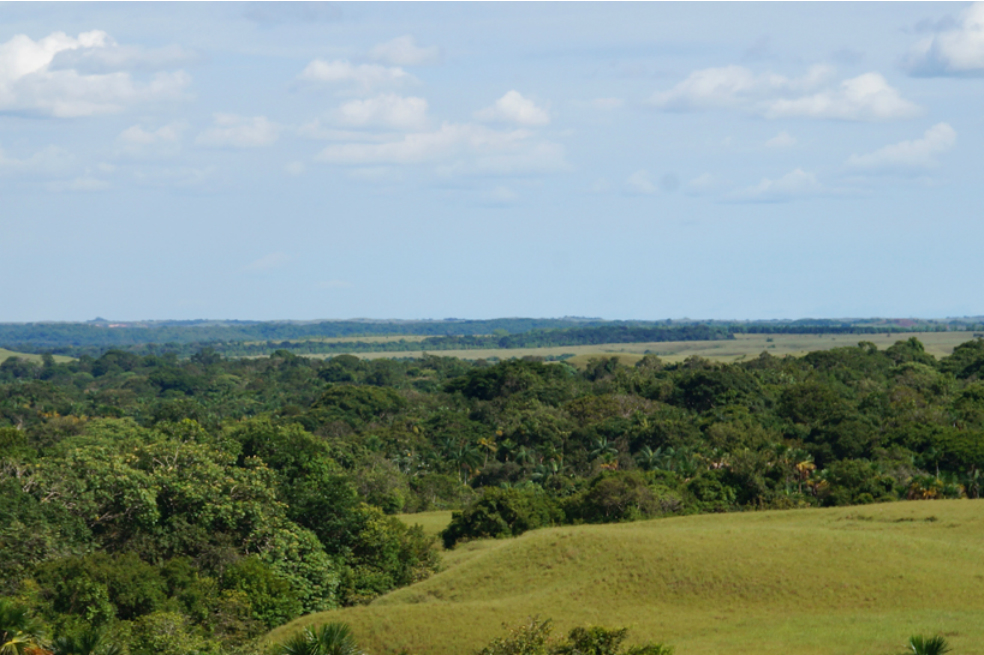 Rama Judicial recibió $12.000 millones para acelerar restitución de tierras