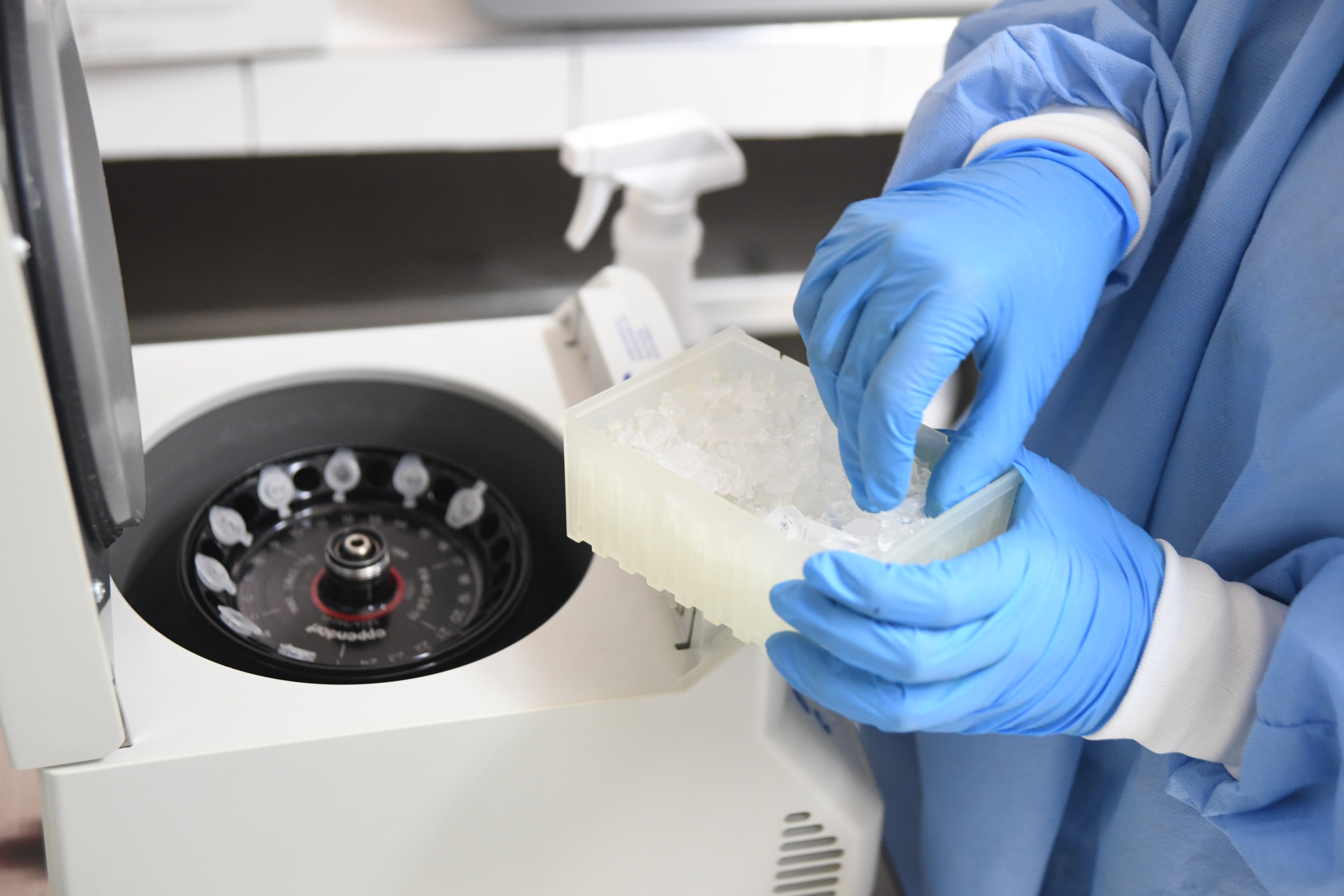 Cáncer: análisis de sangre podrá detectarlo antes de que se presenten los síntomas