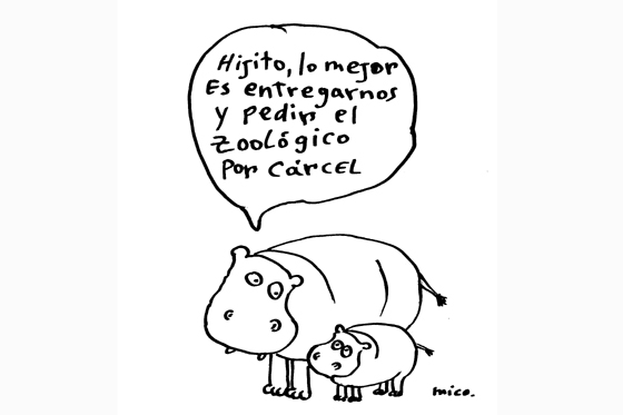 Zoológico por cárcel
