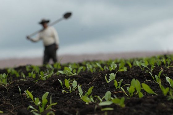 Finca de capo de la mafia ahora en manos de víctimas de minas antipersonal