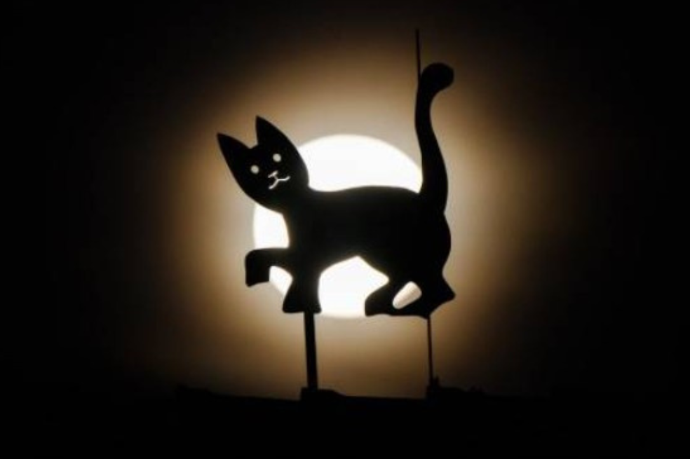 Normalmente, explica la NASA, cuando ocurre una superluna, el satélite puede verse un 30% más brillante y hasta un 14% más grande que una luna llena típica.