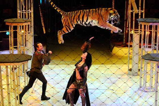 Gobierno de Ciudad de México promulga veto al uso de animales en circos