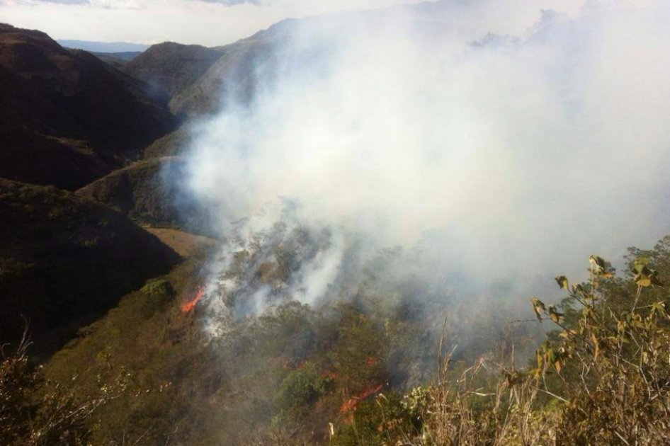 Cundinamarca: 500 hectáreas afectadas por incendios forestales