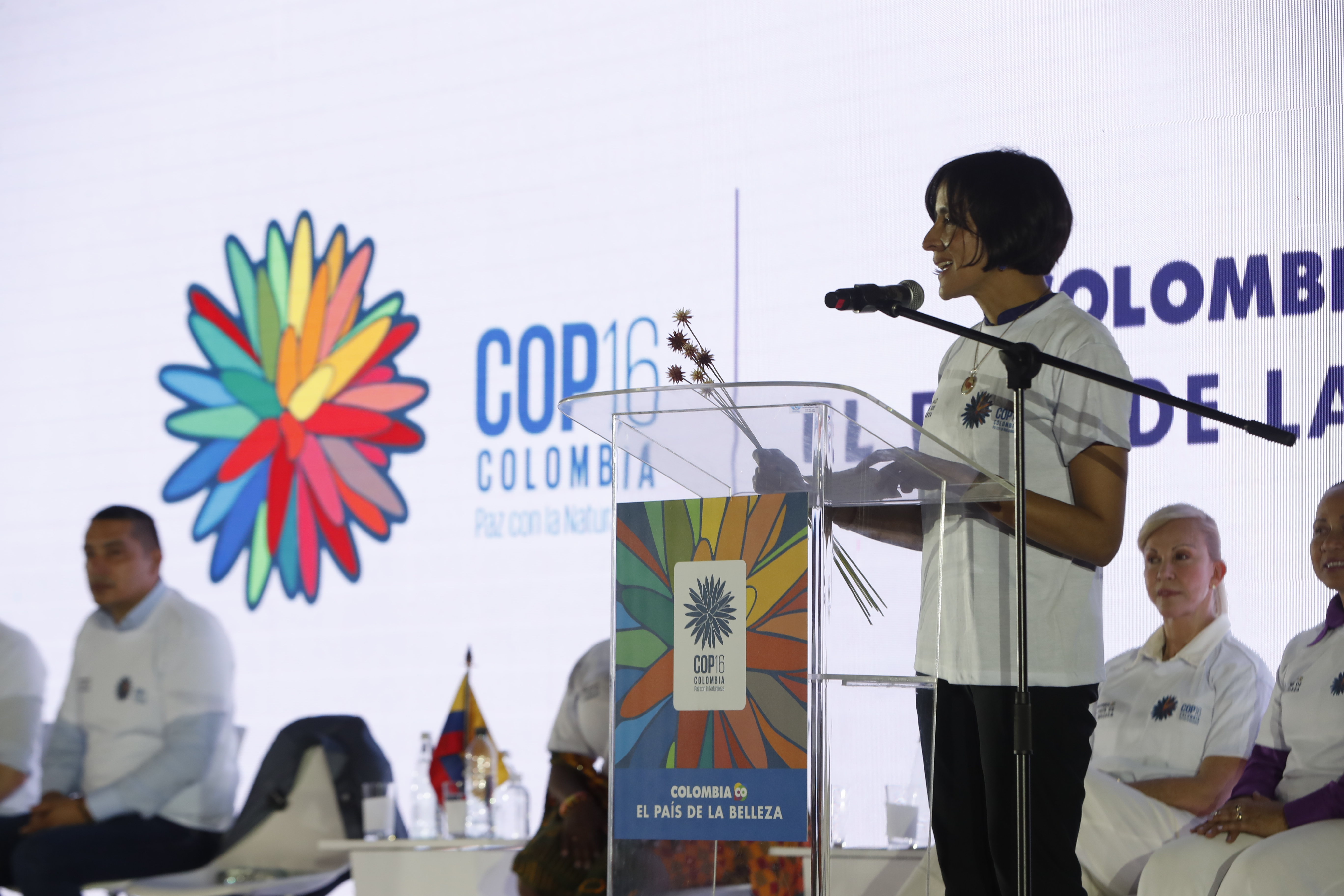 A 100 días de la COP16, así avanzan los preparativos para cumbre de biodiversidad en Colombia