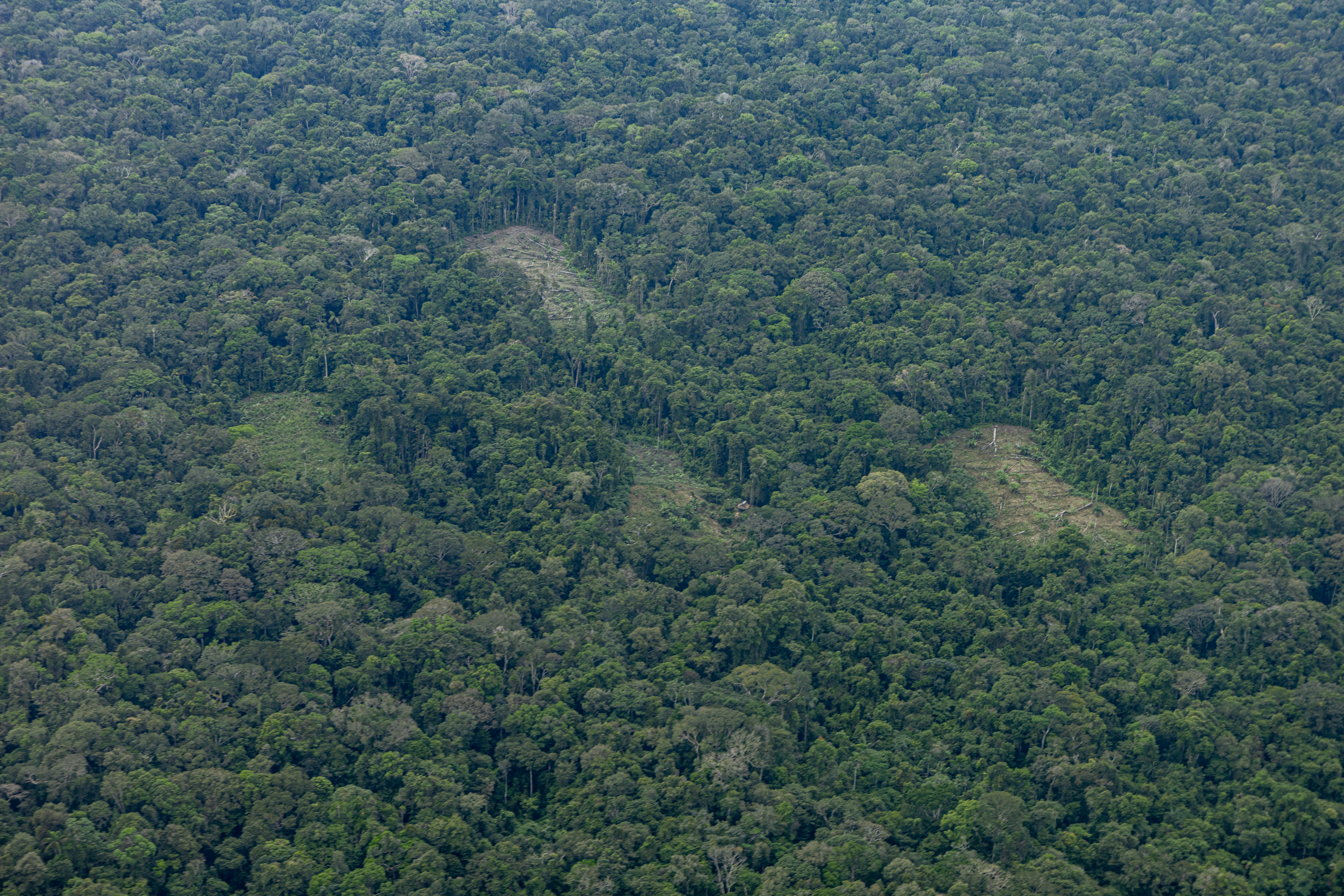Sobrevuelo del Amazonas