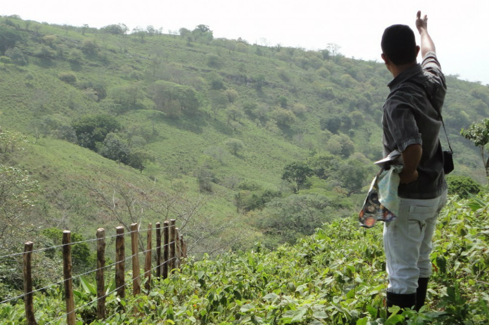 Los campesinos e indígenas que trabajan para salvar el bosque tropical del Caribe