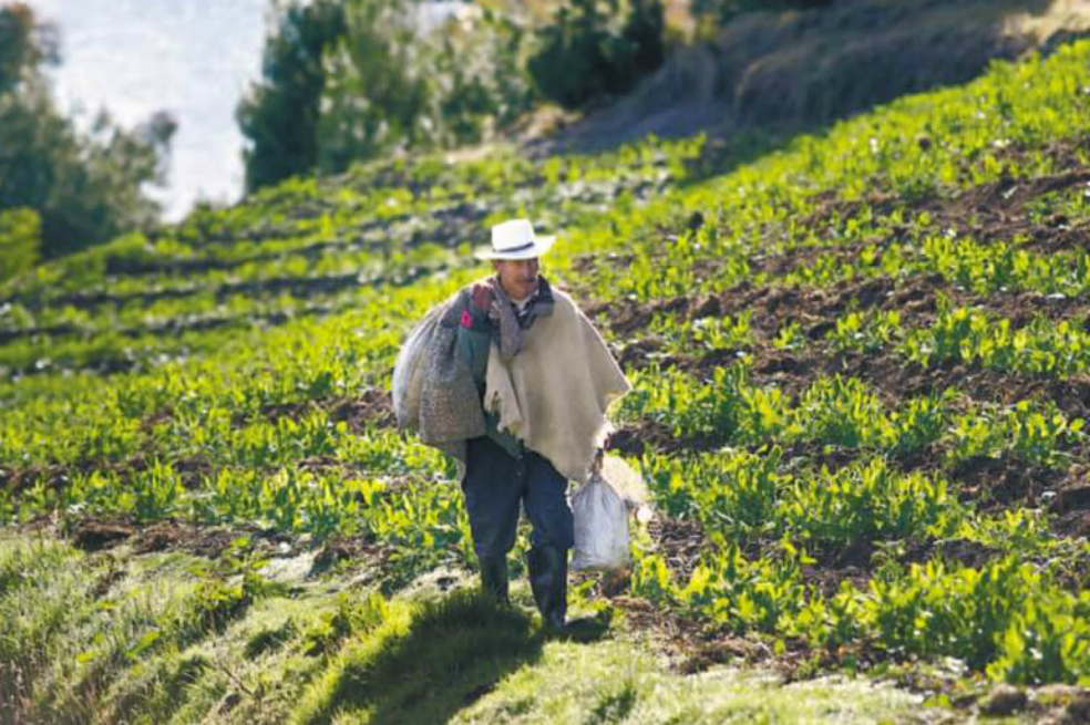 Las nuevas ADEL que se suman a mejorar el desarrollo económico de las subregiones colombianas