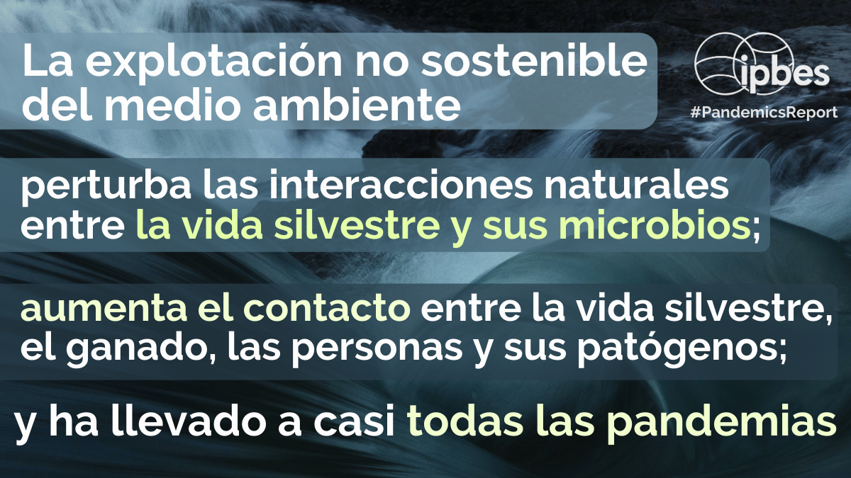 IPBES