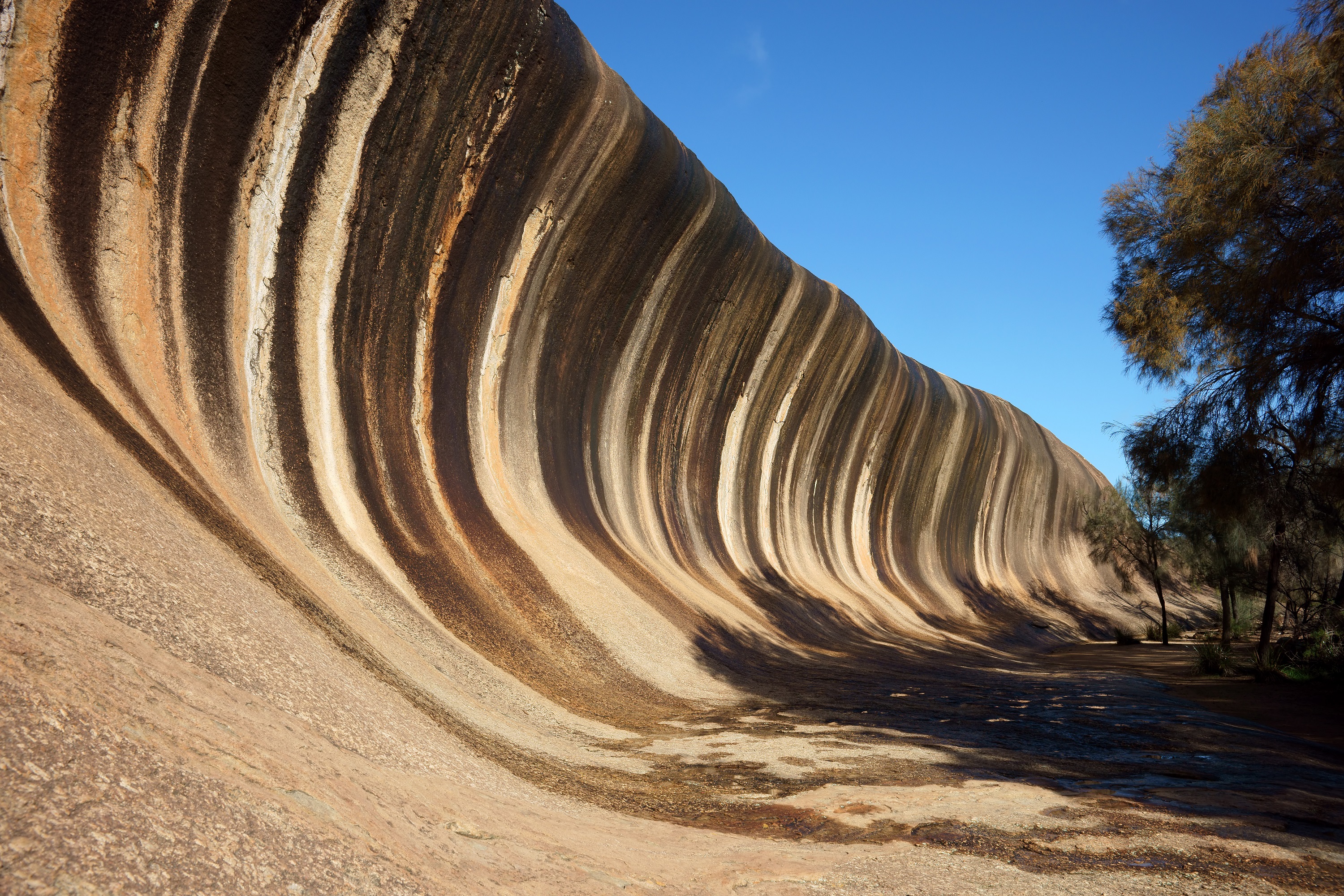 La Wave Rock (la roca de la ola) es una formación natural de granito que simula ser una gigantesca ola petrificada.