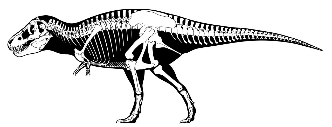 Tiranosaurio rex