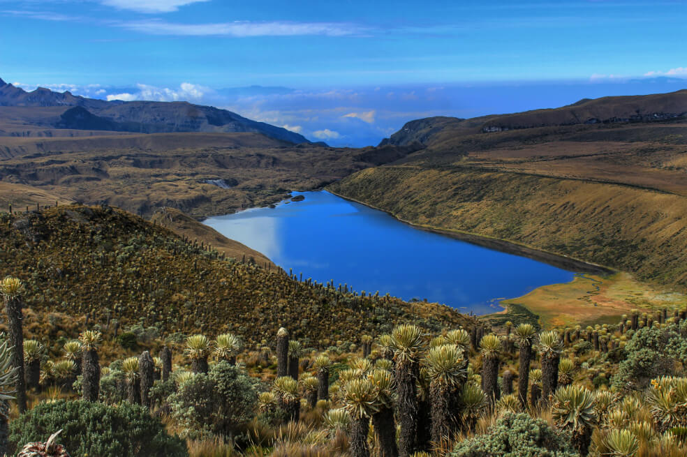 Expertos en Geoparques Mundiales de la Unesco se dieron cita en Manizales