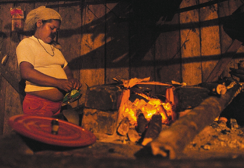 El plan para que más de 1,5 millones de hogares colombianos dejen de cocinar con leña