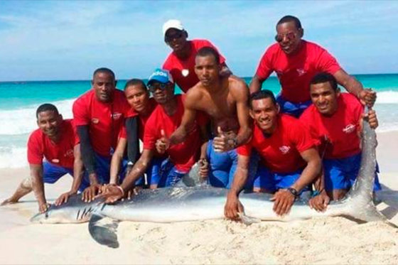 Matan a un tiburón en Punta Cana para tomarse una foto