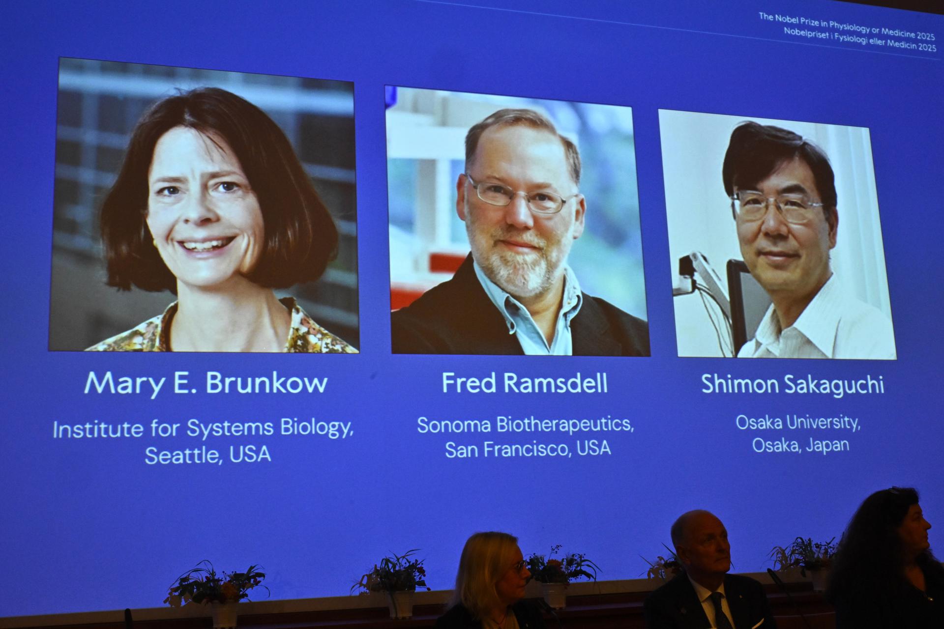 Descubrir a los “guardianes” del sistema inmune, la razón del Premio Nobel de Medicina