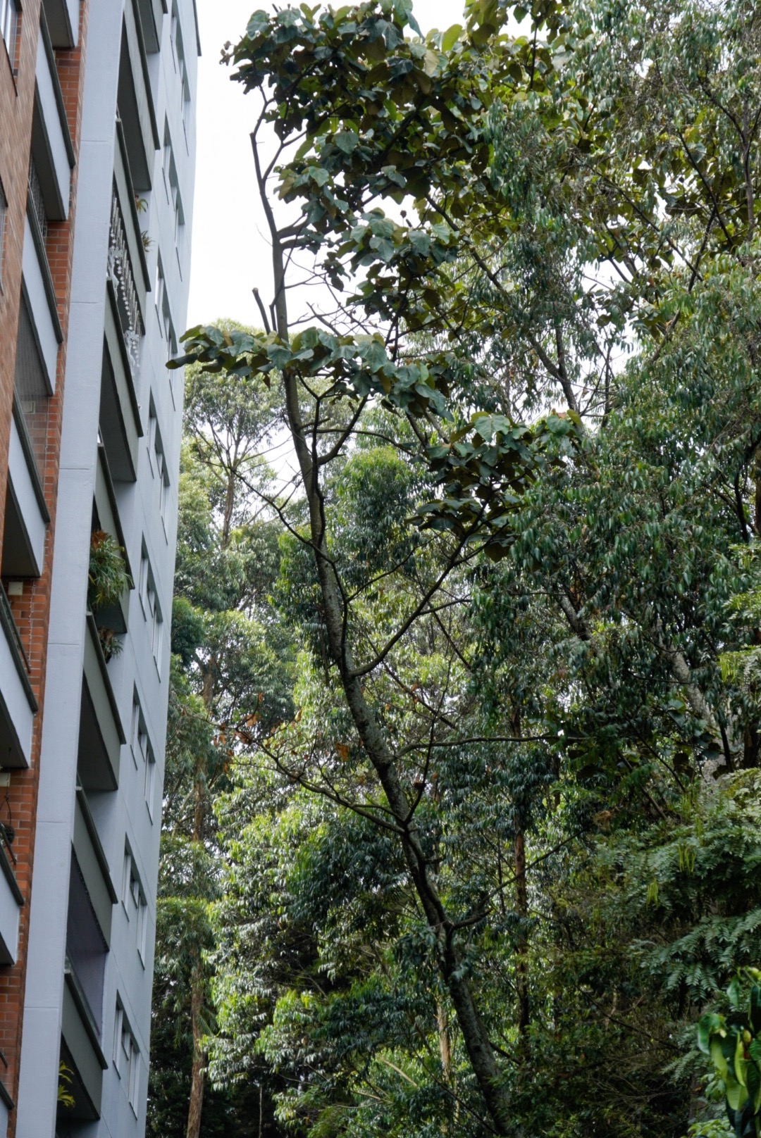Perfil del edificio