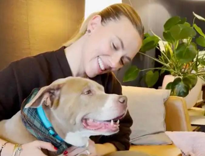 La actriz Scarlett Johansson ayudó a perrita de 12 años a encontrar un nuevo hogar