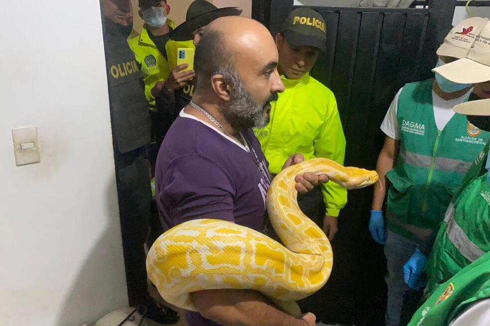 Recuperados varios animales en operativo contra tráfico de fauna silvestre en Cali