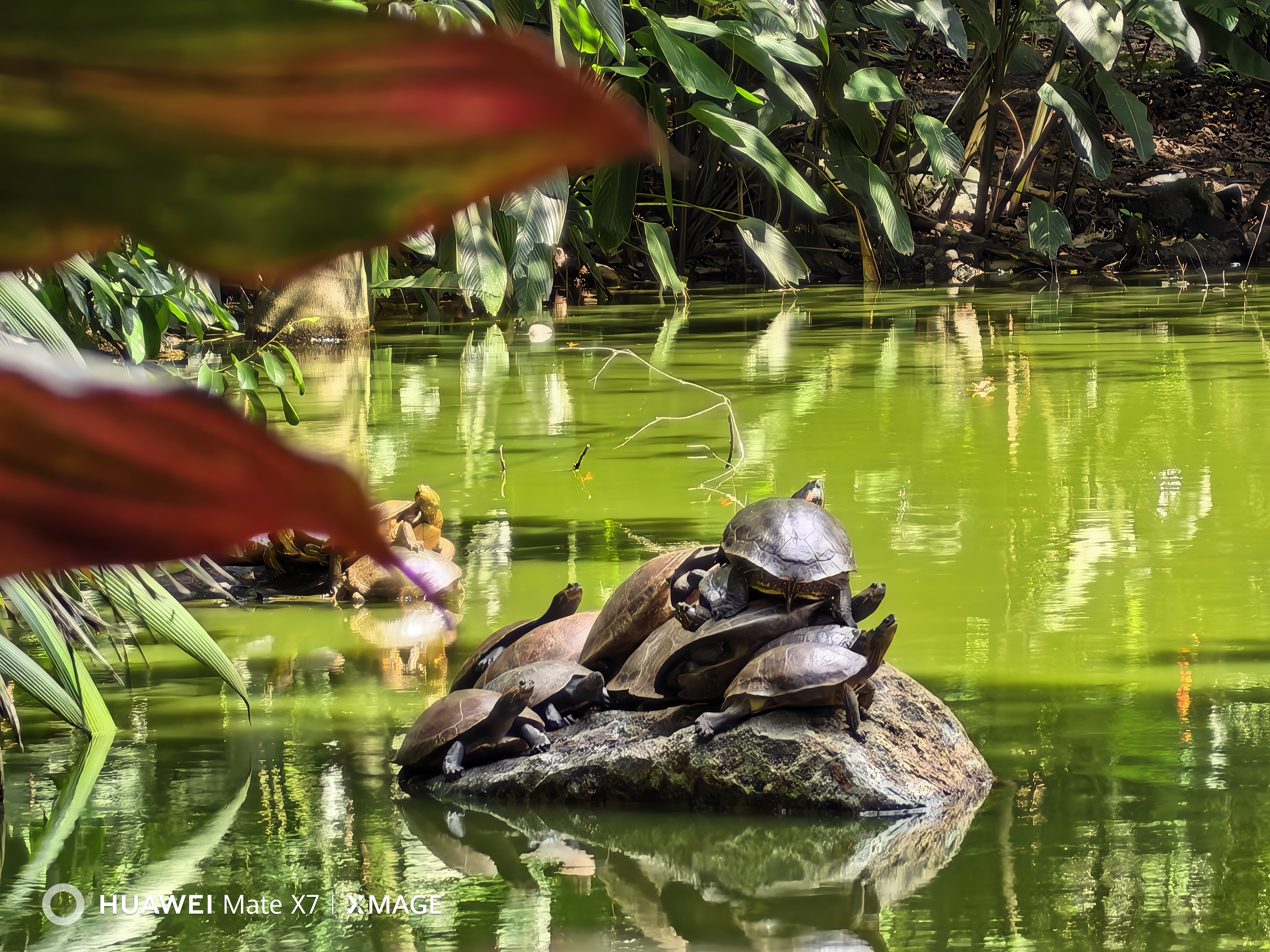 Imagen lograda con el nuevo Huawei Mate X7.