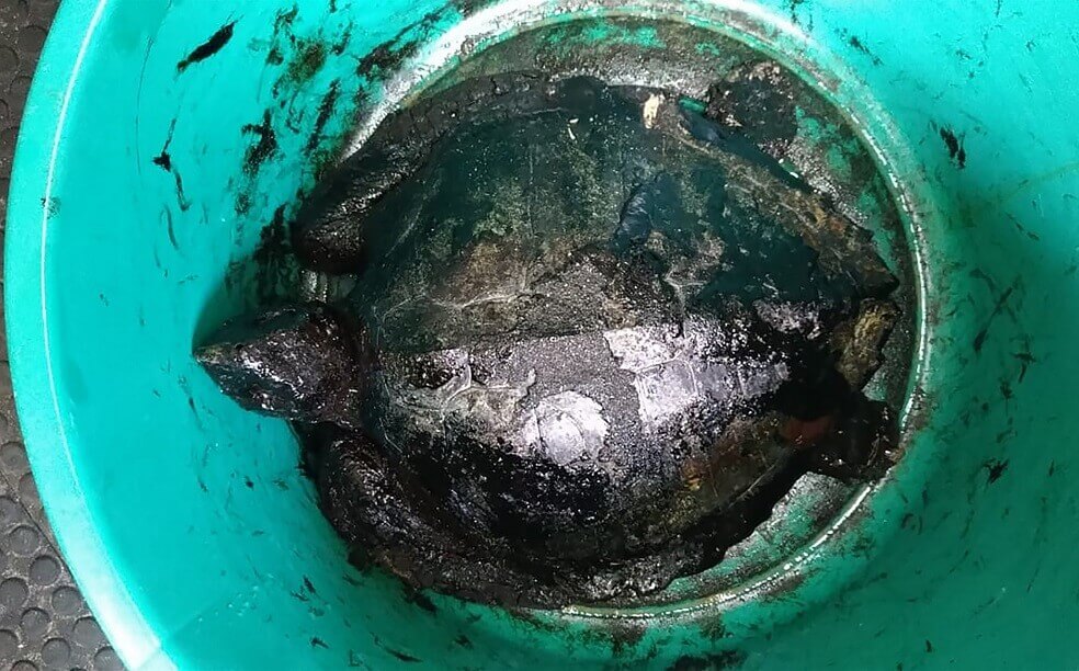 Frustración en Brasil ante avance de manchas petroleras en playas del nordeste