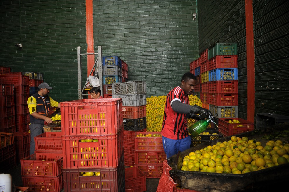 Paro, otra amargura para el agro