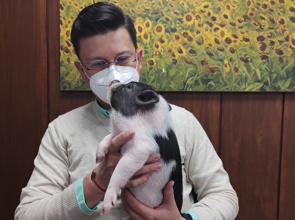 “Los veterinarios no solo atendemos a perros y gatos”: Julio Aguirre, Comvezcol