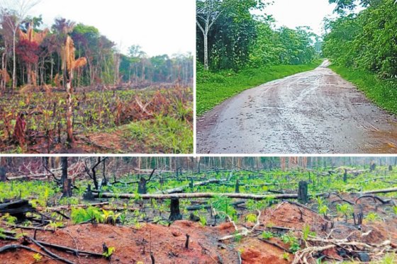 Carreteras dividieron el planeta en 600.000 parches