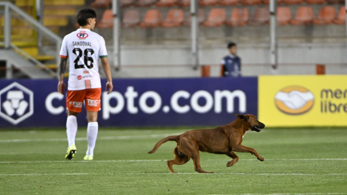 Las insólitas imágenes que dejó la primera fecha de la “bendita” Copa Libertadores