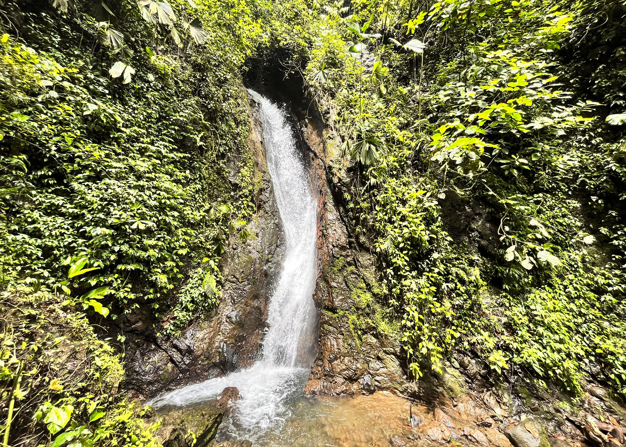 MISTICO PARK Y SUS PUETES COLGANTES COSTA RICA