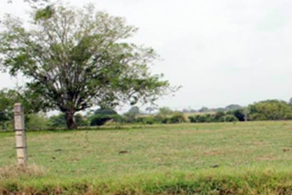 Hacienda despojada por clan Castaño retorna a campesinos de Córdoba