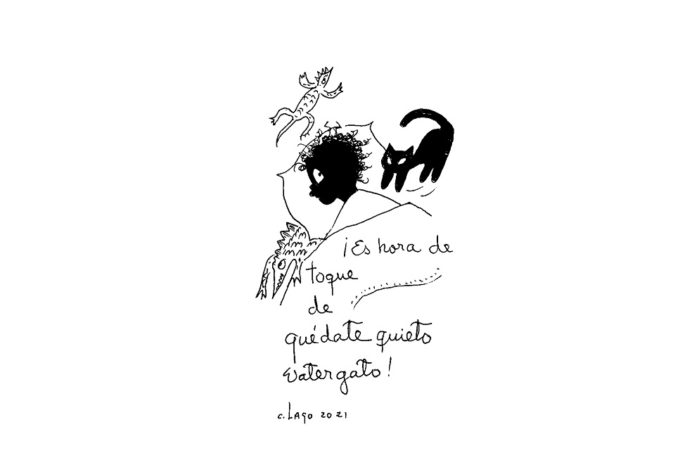 Nieves
