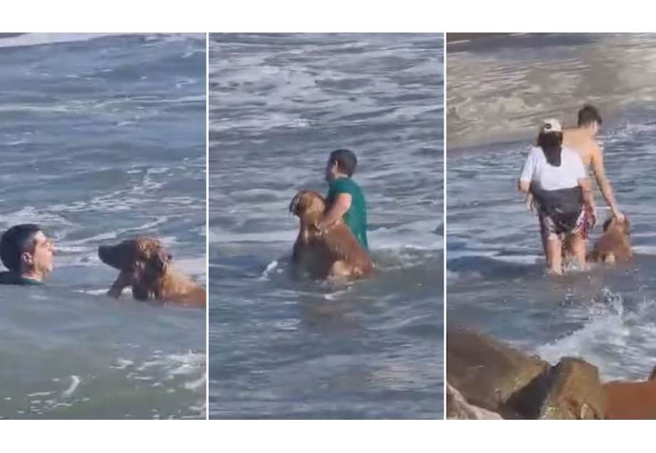 Así fue el rescate del perrito que fue arrastrado mar adentro en Argentina (video)