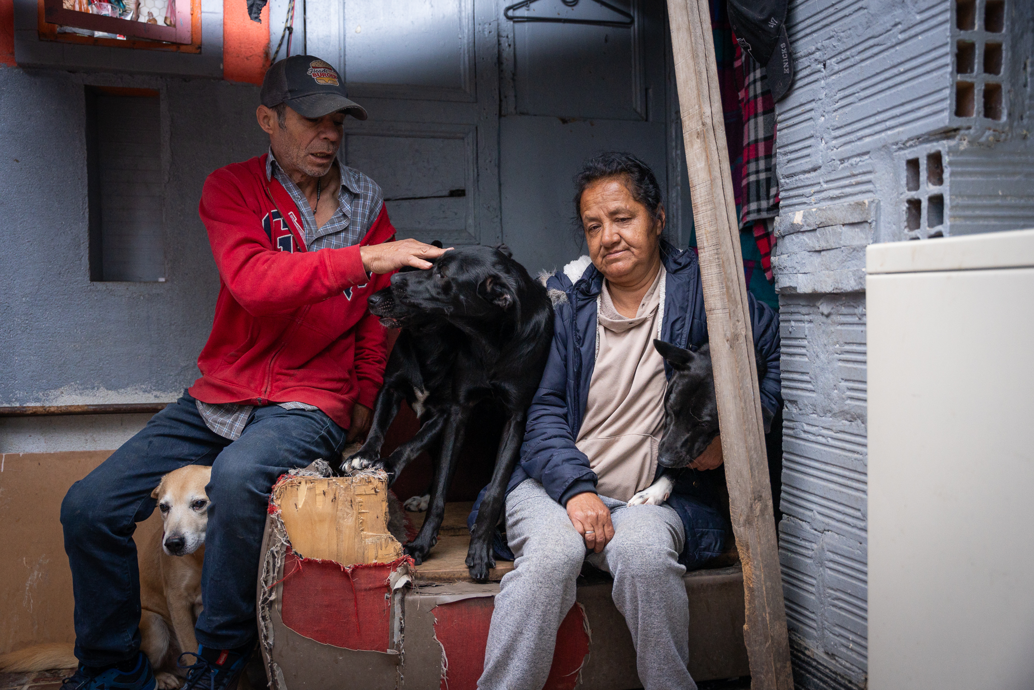 Dos adultos mayores convirtieron su hogar en un refugio para perros abandonados