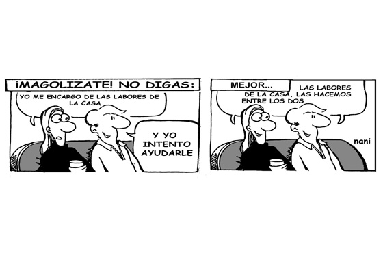 Labores de la casa