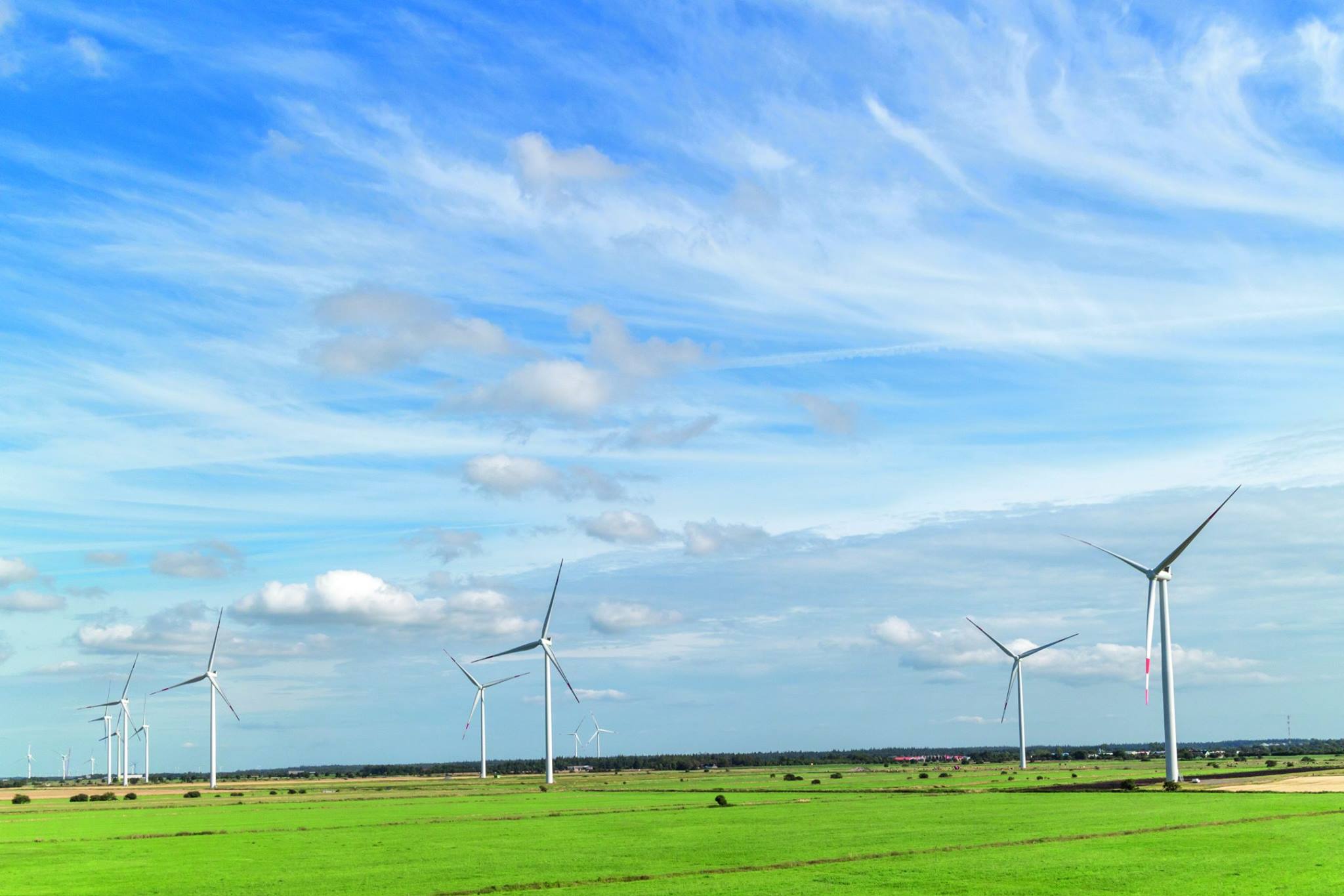 La clave está en acelerar la penetración de vehículos eléctricos y fomentar la gestión de la demanda.