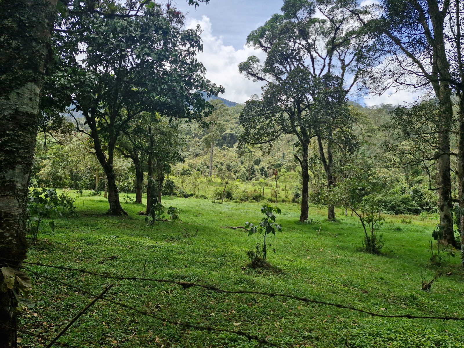 CAR busca integrar la Reserva Peñas del Aserradero al Sistema de Áreas Protegidas