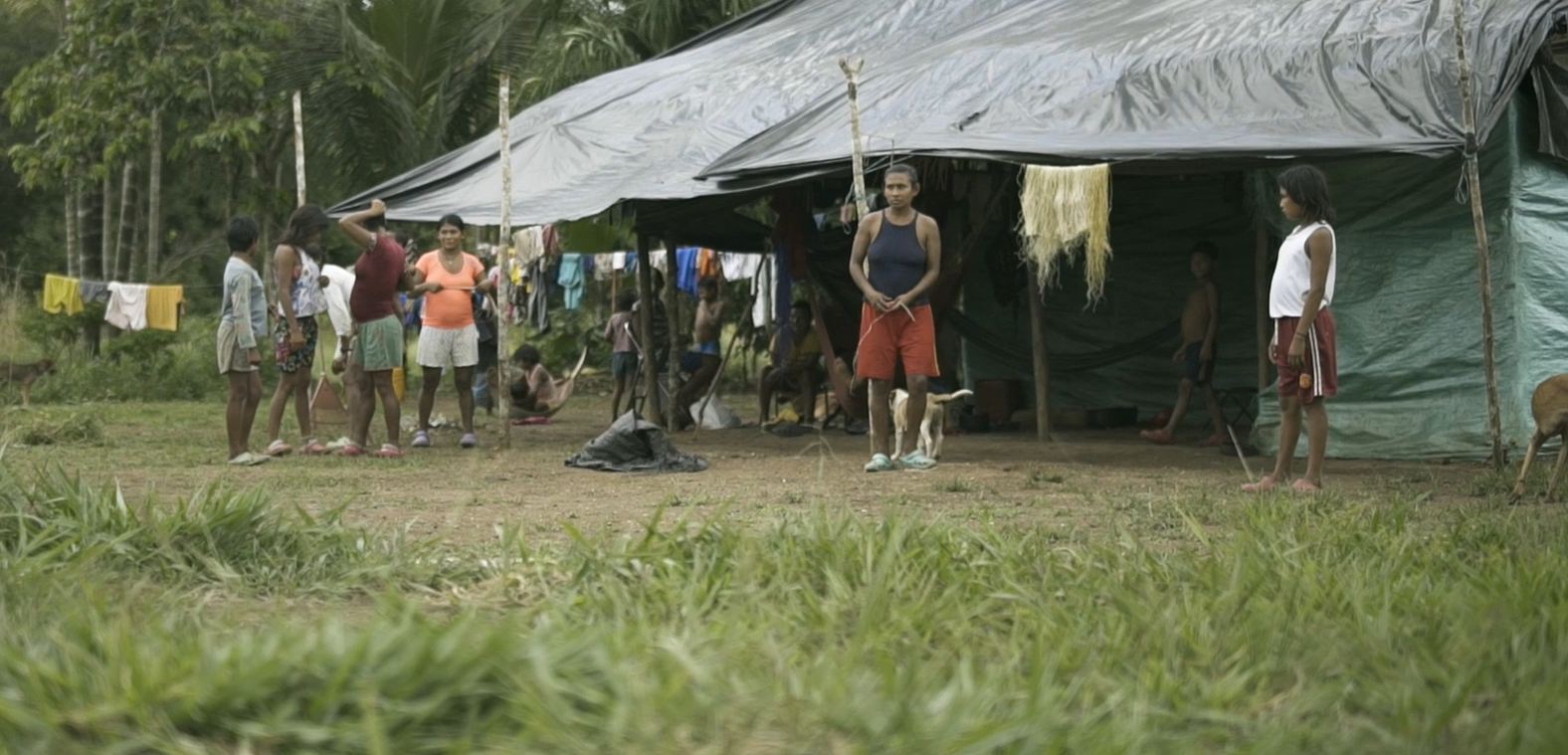 Los nukak y los jiw del Guaviare: Colombia sigue en deuda con sus indígenas