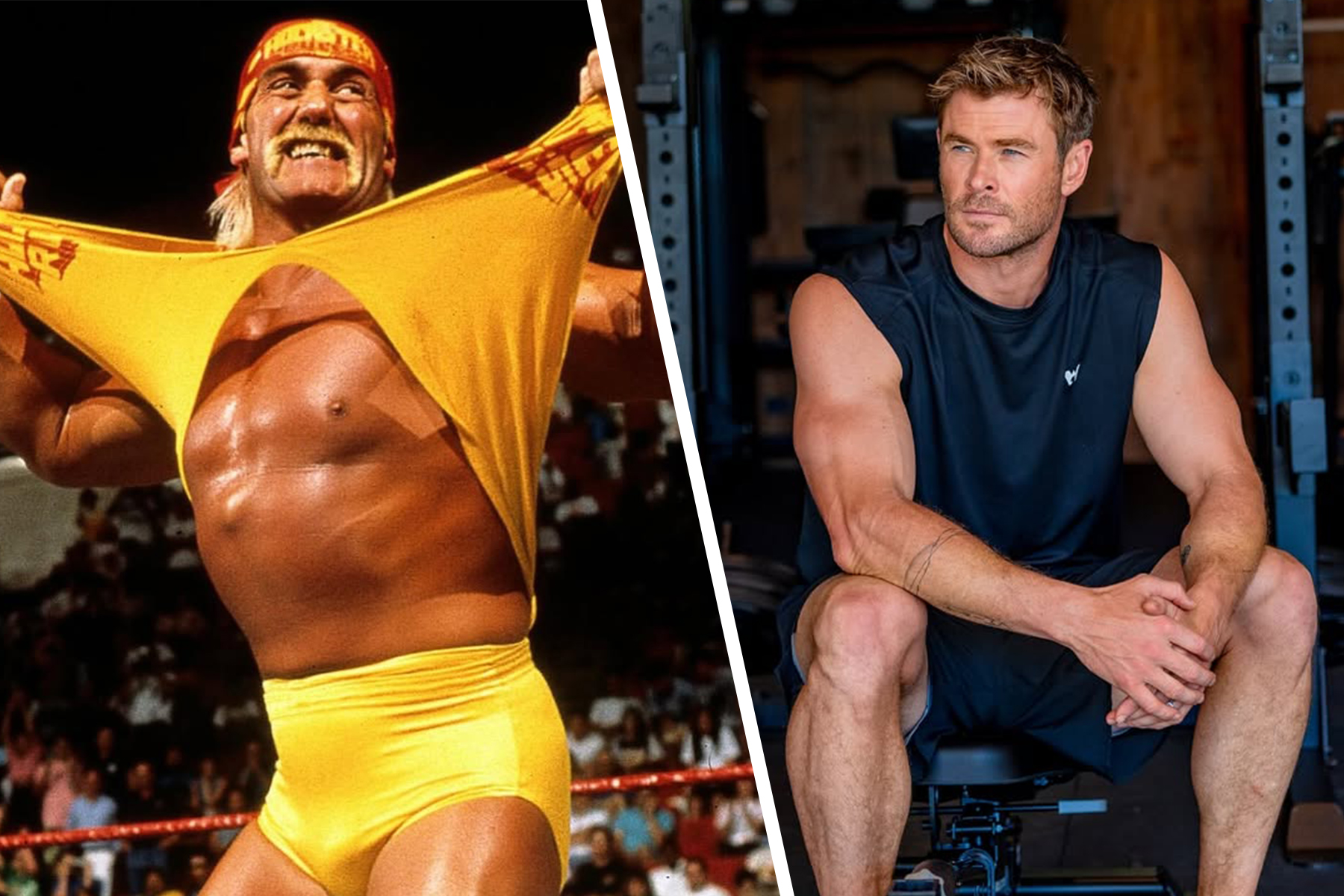 ¿Qué pasó con la película de Hulk Hogan con Chris Hemsworth y Bradley Cooper?