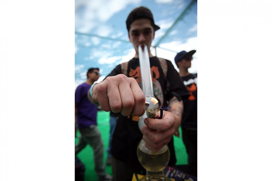 Feria de cannabis más grande de Suramérica realiza nueva edición en Chile